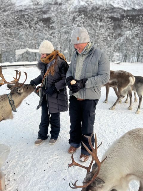 Tromsø: Reindeer Experience at a Sami Camp - A Closer Look at the Experience