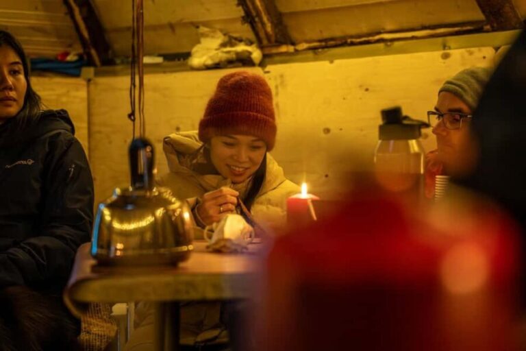 Tromsø: Sami Camp and Reindeer Experience with Lunch - Value and Practicalities