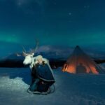 Tromsø: Sami Culture, Northern Lights and Reindeer Feeding - An In-Depth Look at the Tromsø Sami Culture, Northern Lights and Reindeer Feeding Tour