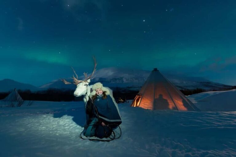 Tromsø: Sami Culture, Northern Lights and Reindeer Feeding - An In-Depth Look at the Tromsø Sami Culture, Northern Lights and Reindeer Feeding Tour
