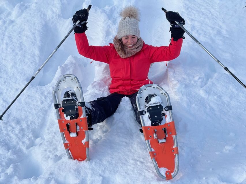 Tromso: Scenic & Eco-Friendly Snowshoeing Tour - A Deep Dive into the Experience