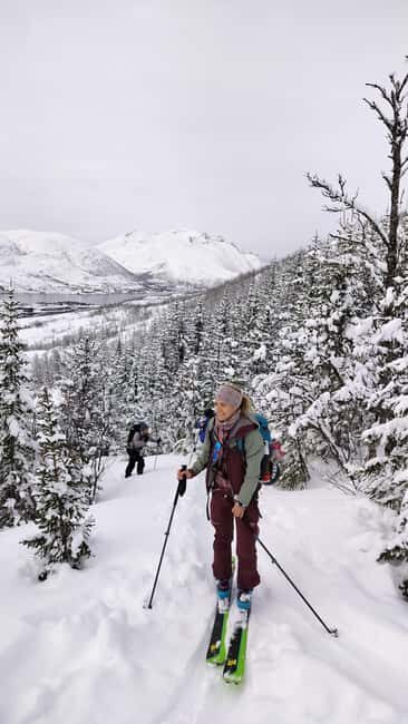 Tromsø: Ski/Randonnee Guided Tour - What the Tour Entails