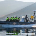 Tromsø: Skjervøy RIB Whale Watching Tour - The Experience: What to Expect
