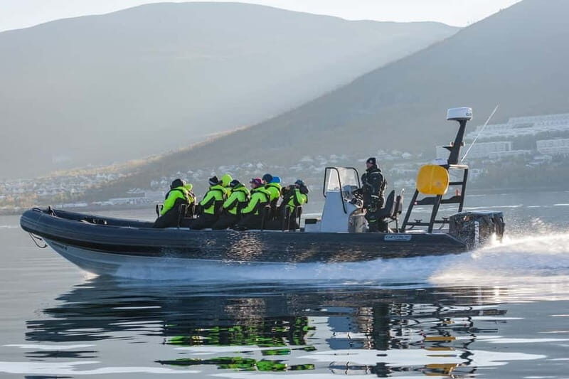 Tromsø: Skjervøy RIB Whale Watching Tour - The Experience: What to Expect