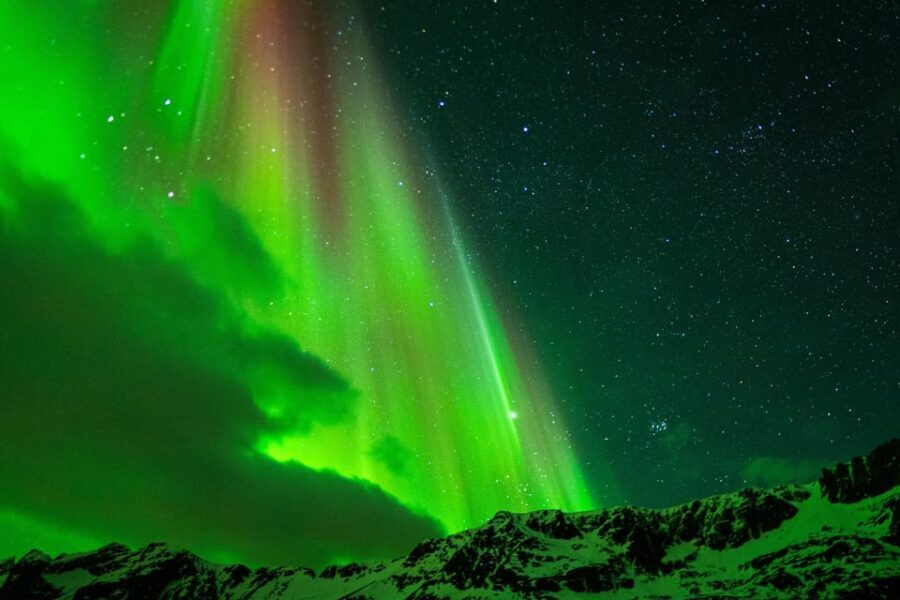 Tromsø: Small-Group Adventurous Northern Lights Hunt - Analyzing the Value