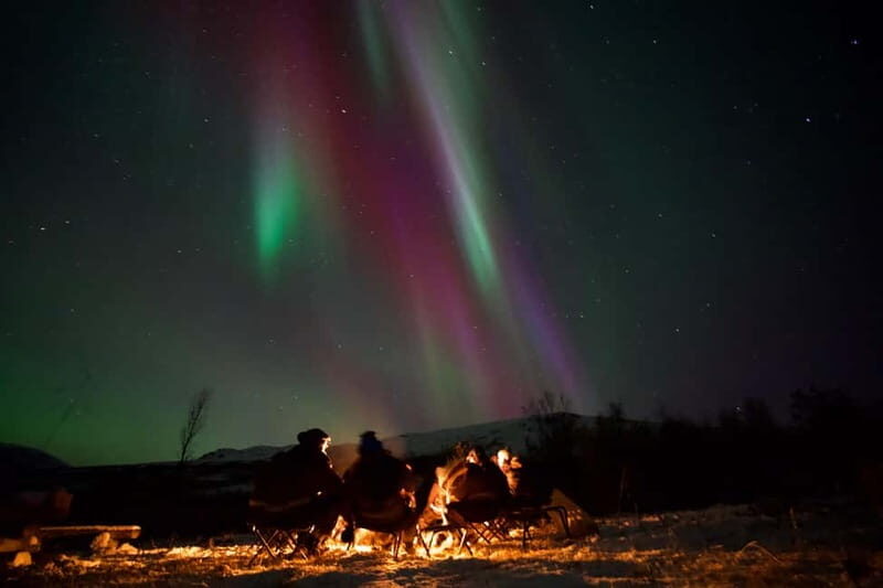 Tromsø: Small-Group Northern Lights Tour by Minibus - Authentic Experiences from Travelers