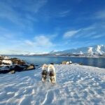 Tromsø: Snowshoe Hike to Lyngstuva Lighthouse with Lunch - The Experience in Detail