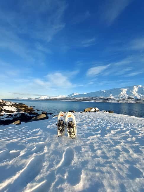 Tromsø: Snowshoe Hike to Lyngstuva Lighthouse with Lunch - The Experience in Detail