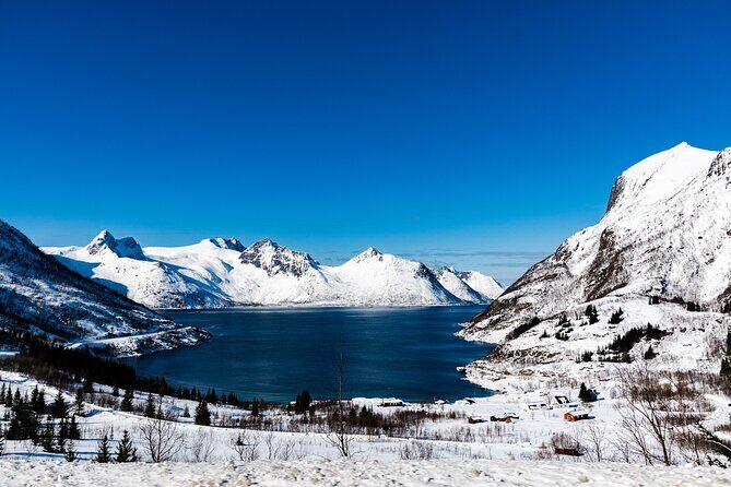 Tromso-Snowshoeing Excursion to Viewpoint - Frequently Asked Questions