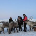 Tromsø: Snowshoeing with Reindeer - Who Should Consider This Tour?