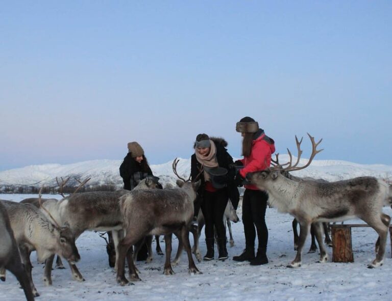 Tromsø: Snowshoeing with Reindeer - Who Should Consider This Tour?