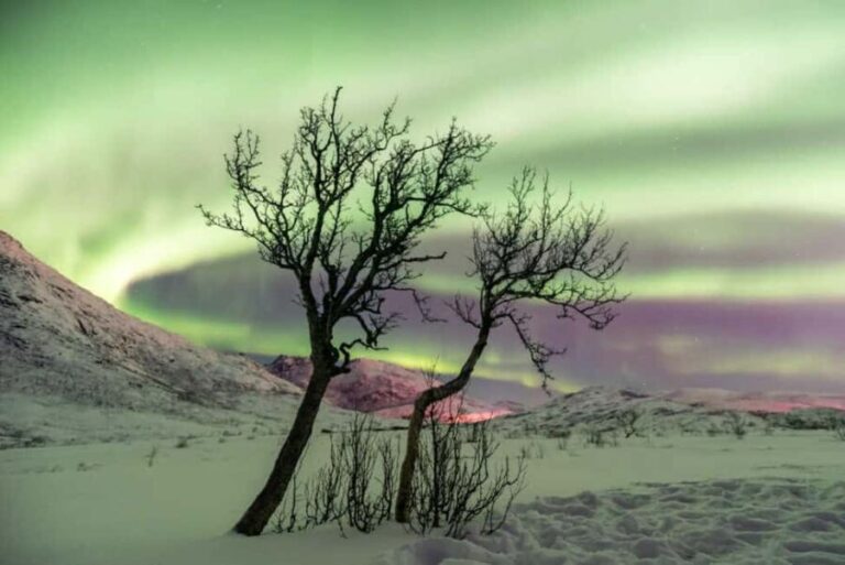 Tromso: The Ultimate Northern Lights Chase - Destination Highlights: Why Each Stop Matters