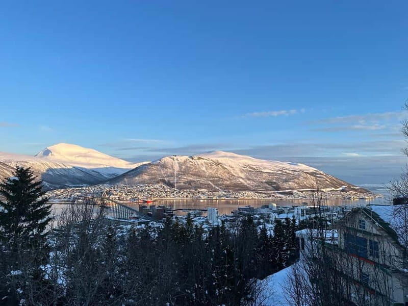 Tromsø: The View Panoramic Scenery and Local Delights - Final Thoughts: Who Should Consider This Tour?