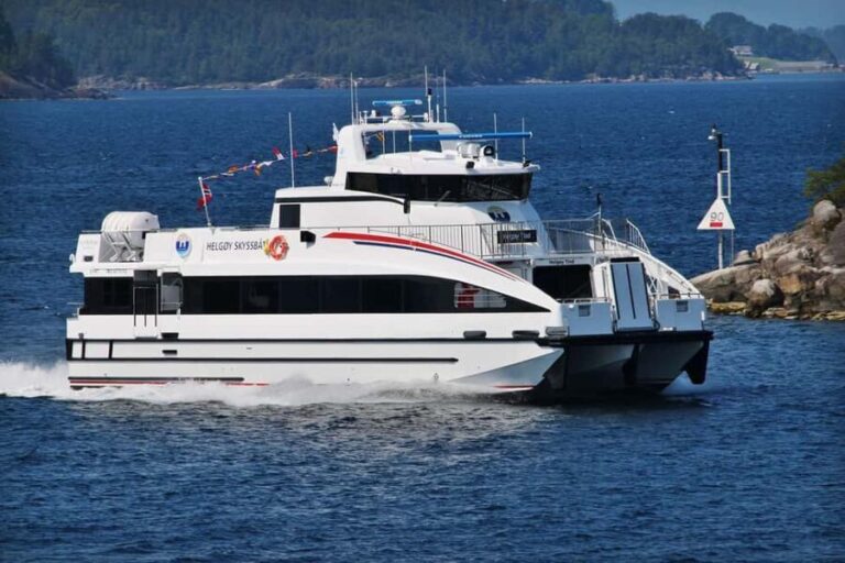 Tromsø: Whale Watching - fast and comfortable catamaran - Summary of the Experience