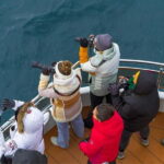 Tromsø: Whale Watching on hybrid boat with scenic bustrip - Final Thoughts