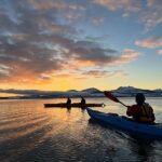 Tromsø: Winter Sea Kayaking Tour with Wildlife Sightings - An Authentic Arctic Experience on the Water