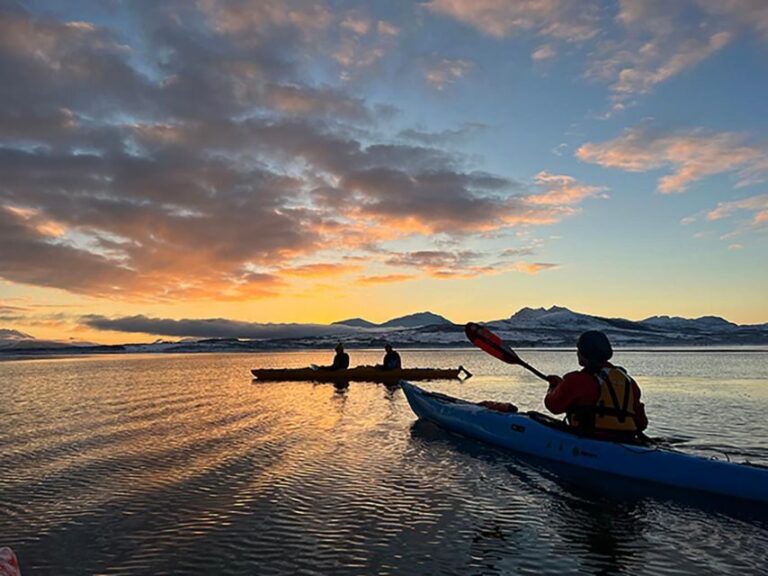 Tromsø: Winter Sea Kayaking Tour with Wildlife Sightings - An Authentic Arctic Experience on the Water