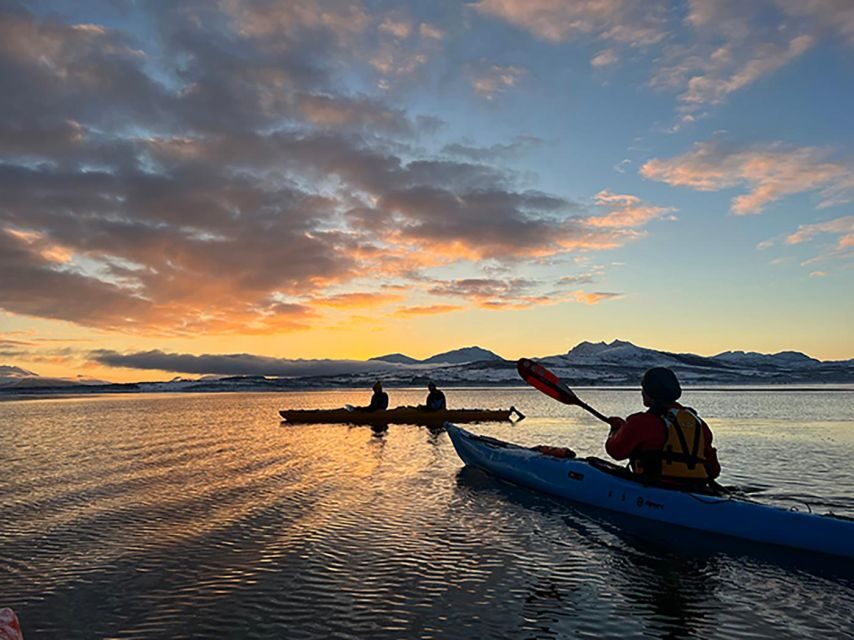 Tromsø: Winter Sea Kayaking Tour with Wildlife Sightings - An Authentic Arctic Experience on the Water