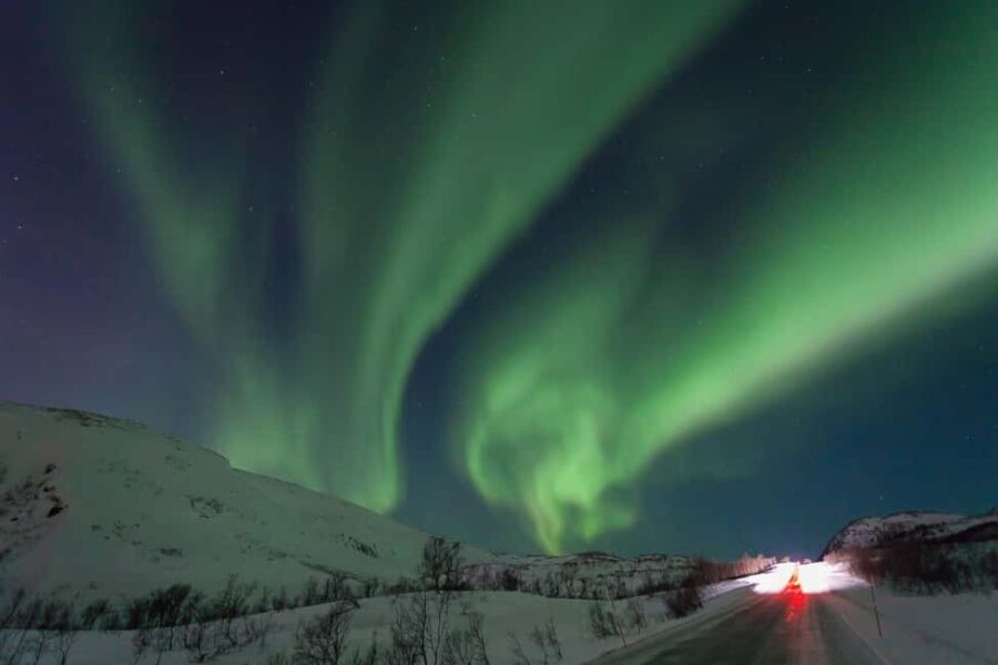 Tromsø:Northern light tour with mini bus i Tromsø - Who Should Consider This Tour?