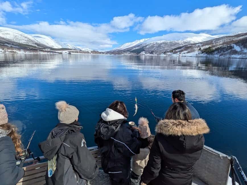 Tromsøs Top-Rated Fjord & Fishing Cruise  Lunch included - What to Expect During the Tour