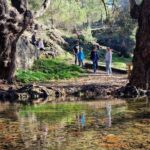 Troodos Mountains a Tour of Adventures - Discover Cyprus’s Natural and Cultural Gems with the Troodos Mountains Tour