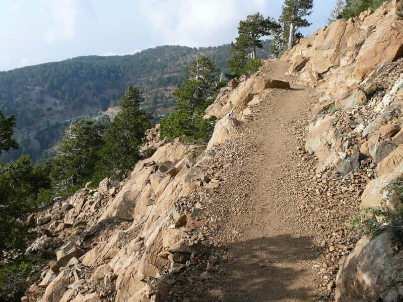 Troodos walking trip - Who Will Enjoy This Tour?