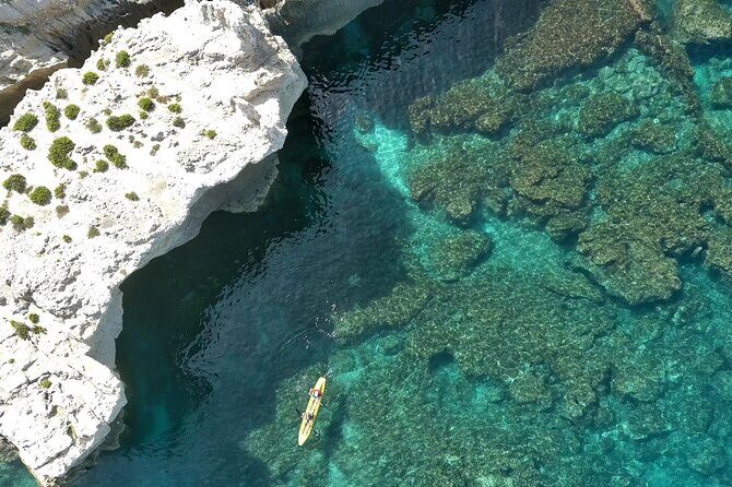 Tropea Coast of the God - Exclusive Boat Tour - The Experience in Practice