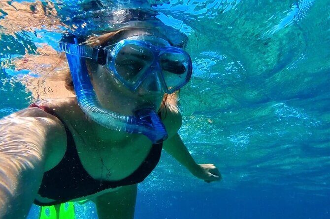 Tropical Dunk Island Half Day Activity from Mission Beach - Practical Details and Tips