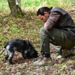 Truffle Hunt & Bio Lunch in Assisi - Who Will Love This Tour?