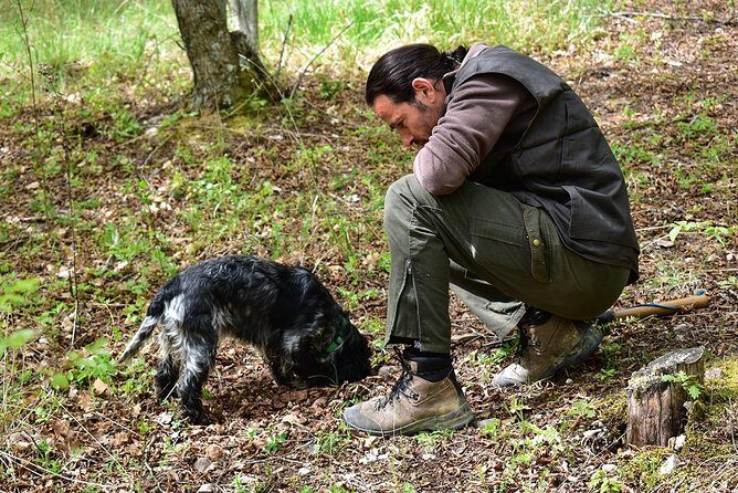Truffle Hunt & Bio Lunch in Assisi - Who Will Love This Tour?