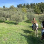 Truffle hunt, Lunch, Horse riding, a top half-day near Florence - The Return Journey: Relaxed and Satisfied
