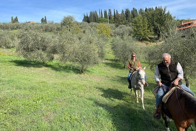 Truffle hunt, Lunch, Horse riding, a top half-day near Florence - The Return Journey: Relaxed and Satisfied