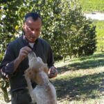 Truffle Hunt & Wine Tasting - FAQs