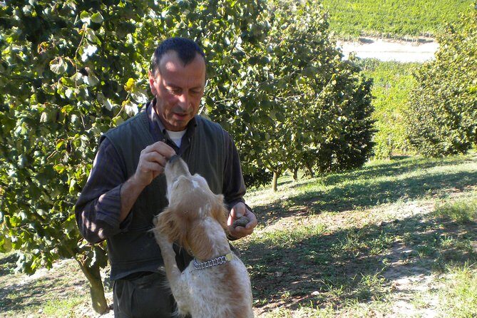 Truffle Hunt & Wine Tasting - FAQs