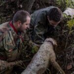 Truffle hunting - Who Should Book This Tour?