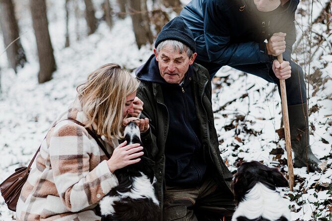 Truffle Hunting and Cheese, Truffle & Wine Tasting near Alba - Price and Value