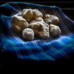 Truffle Hunting and Handmade Pasta in Ascoli Piceno - Who Is This Tour Best For?