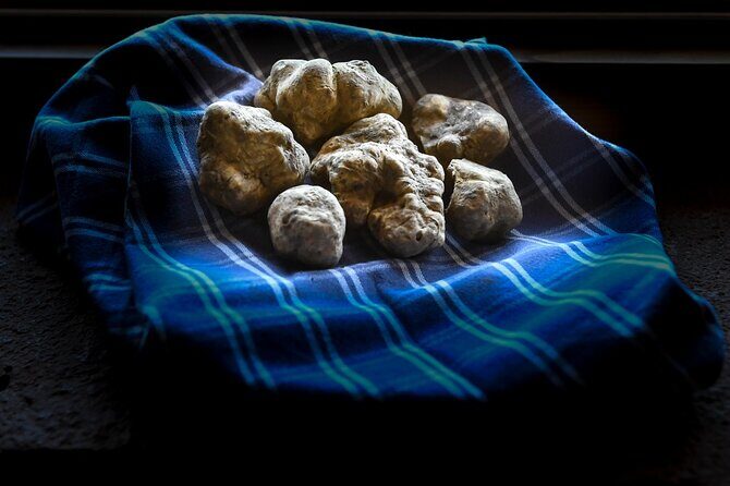Truffle Hunting and Handmade Pasta in Ascoli Piceno - Who Is This Tour Best For?