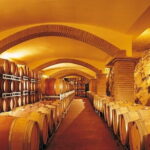 Truffle hunting and lunch experience, with Vinci and winery. - The Practicalities: What’s Included and What to Consider