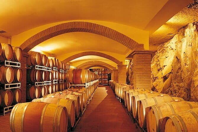Truffle hunting and lunch experience, with Vinci and winery. - The Practicalities: What’s Included and What to Consider