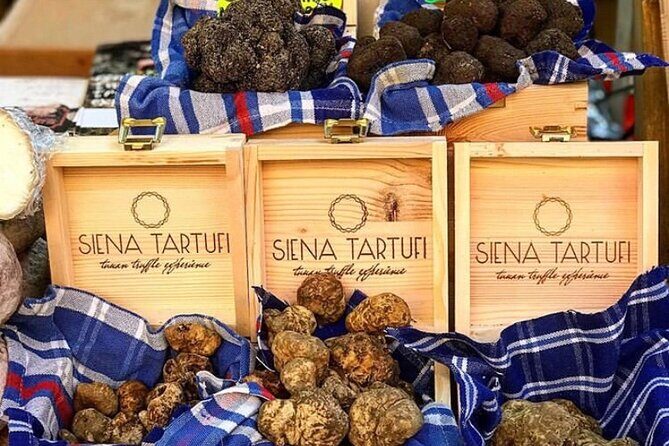 Truffle Hunting Experience Siena Tartufi - The Sum Up