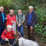 Truffle Hunting Experience with a Guide - The Experience in Detail: What to Expect