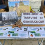 Truffle hunting in the Langhe - Truffle hunting with a real trifulau - A Closer Look at the Itinerary