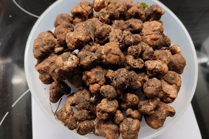 Truffle hunting in the Sicani mountains: a unique experience in Sicily - Why This Tour Offers Great Value