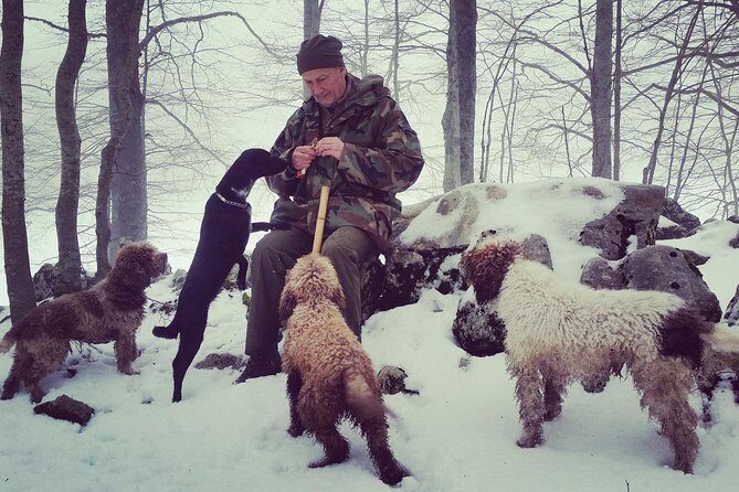 Truffle hunting near Rome - Who Will Love This Tour?