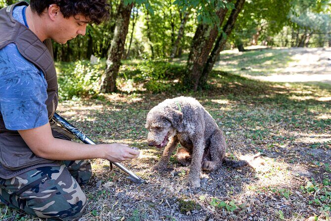 Truffle Hunting & Truffle Cooking Class - Who Will Love This Tour?