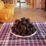 Truffle Hunting with Food tasting - FAQs