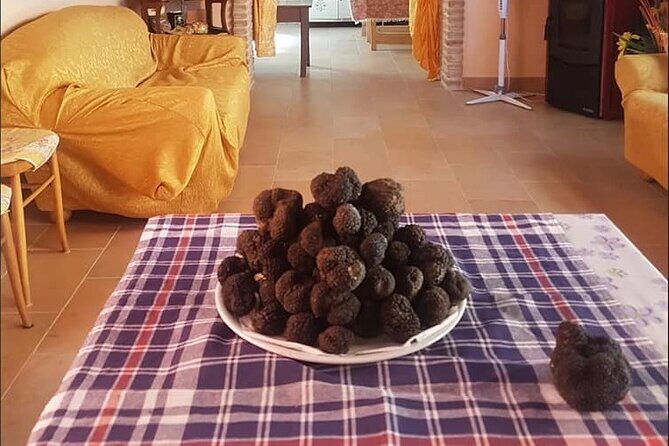Truffle Hunting with Food tasting - FAQs