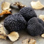 Truffle Hunting with Tasting Included - Umbria, Italy - What You Can Expect from the Itinerary
