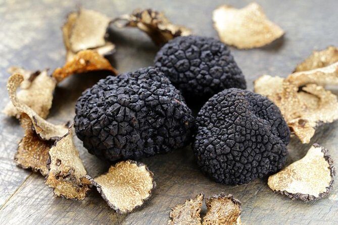 Truffle Hunting with Tasting Included - Umbria, Italy - What You Can Expect from the Itinerary